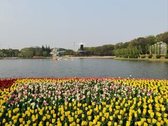 -上海鲜花港