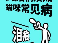 -纳吉亚猫专科动物诊疗中心(蒋宅口分院)