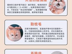 -翊宠yipet猫狗购宠庄园犬舍•猫舍