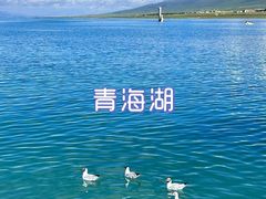 -青海湖国家重点风景名胜区