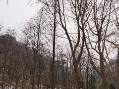 -秦岭终南山世界地质公园翠华山景区