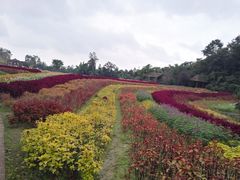 -保利石象湖景区