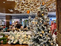 -远洋未来广场(育慧北路店)