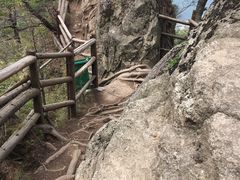-王顺山国家森林公园
