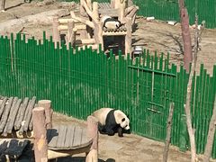 -沈阳森林动物园