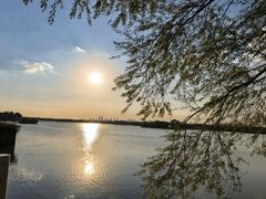 -贡湖湾湿地公园
