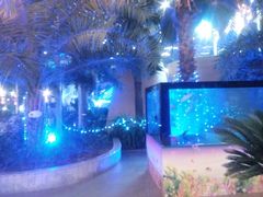 -北国之春国宴(乌兰察布店)