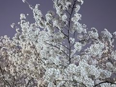 -融荟家和中餐厅·北京西直门宾馆