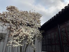 -拙政园