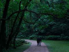 -虎跑公园