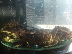 -阿锋鲍鱼酒家美食汇(华安店)