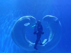 -多彩贵州城极地海洋世界