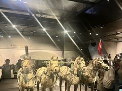 -秦始皇帝陵博物院-丽山园