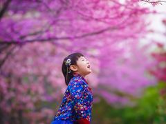 -梵希家庭影像馆(滨海店)