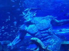 -波塞冬旅游度假区