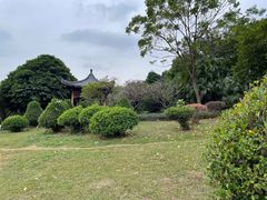 -飞来湖湿地公园