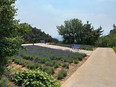 -云峰山自然风景区