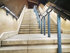 -迪士尼乐园停车场