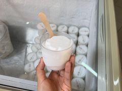 -洪馨椰子