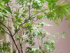 -乡里八闽·福州乡土菜(高宅店)