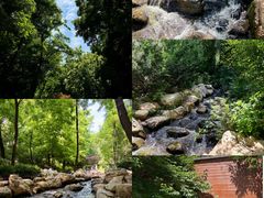 -大连植物园