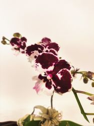 点击看大图 -今日陶艺(富力广场店)