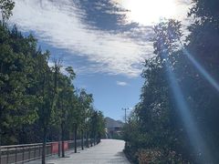 -重庆云阳龙缸景区