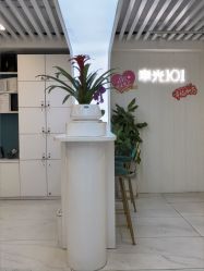 -章光101防脱养发荟