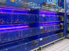 -大润发(康桥店)