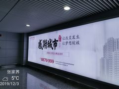 -张家界荷花国际机场