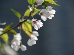 -七宝老街-闵行市民文化广场