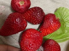 -果多美(万泉庄店)