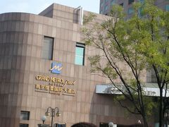 -南京维景国际大酒店(南京博物院店)