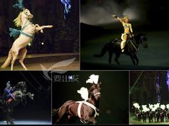 -珠海横琴长隆《卡卡虎奇遇记》