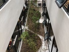 -上海市徐汇区口腔医院