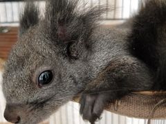 -浙江万里学院(钱湖校区)