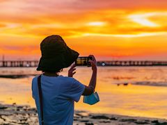 -宝安西湾红树林湿地公园