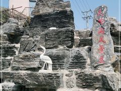 -大岭沟猕猴桃谷风景区