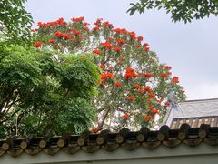 -顺峰山公园