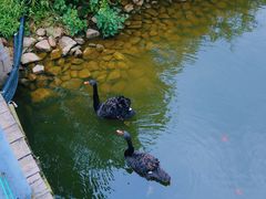 -长白岛森林公园