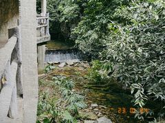 -鼎湖山风景区