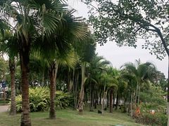 -映月湖公园