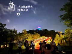 -王借岗森林公园