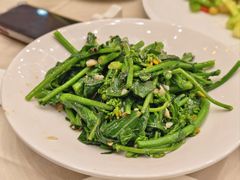 清炒板蓝根-太子园林酒家