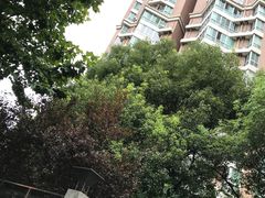 -上海交通大学医学院附属仁济医院(西院)
