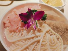 -小龙坎火锅(全球旗舰店)