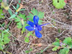 -白草畔自然风景区