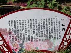 -秋霞圃