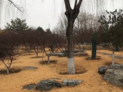 -燕郊植物园