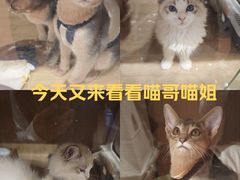 -天河领展广场